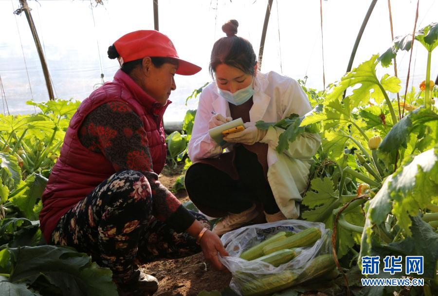 河北承德：強化蔬菜抽檢 守護(hù)&ldquo;舌尖上的安全&rdquo;