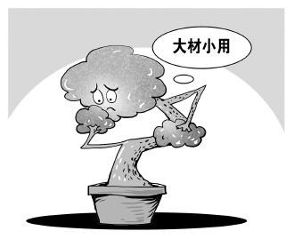 自認&ldquo;大材小用&rdquo;，不如腳踏實地