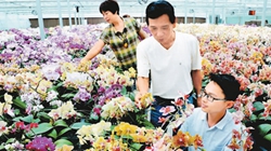 臺商眼中的改革開放：風(fēng)景這邊獨好 要去，要去，要去！