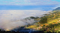 臺胞臺商熱議陜西惠臺&ldquo;60條&rdquo;：期盼落實、共享機遇