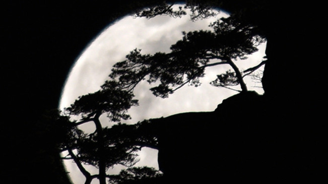 太驚艷！明月奇松 夢(mèng)幻同框