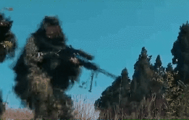 突入，擊斃！直擊武警特戰(zhàn)反劫持演練！