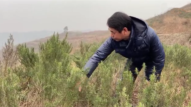 新春走基層｜脫貧后，駐村扶貧隊(duì)長(zhǎng)在干啥？