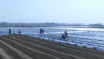 奏響新一年春耕&ldquo;進行曲&rdquo;