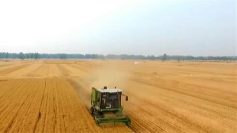 今天是第31個全國&ldquo;土地日&rdquo;：堅(jiān)持最嚴(yán)格耕地保護(hù)制度 端穩(wěn)&ldquo;飯碗田&rdquo;