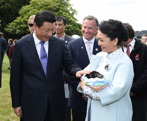 11月18日，國家主席習(xí)近平在澳大利亞塔斯馬尼亞州與朗塞斯頓市斯科奇－歐克伯恩小學(xué)的小學(xué)生共同植樹。這是習(xí)近平和夫人彭麗媛植樹后撫摸袋獾。新華社記者 馬占成 攝