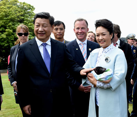 11月18日，國家主席習(xí)近平在澳大利亞塔斯馬尼亞州與朗塞斯頓市斯科奇－歐克伯恩小學(xué)的小學(xué)生共同植樹。這是習(xí)近平和夫人彭麗媛植樹后撫摸袋獾。新華社記者 饒愛民 攝