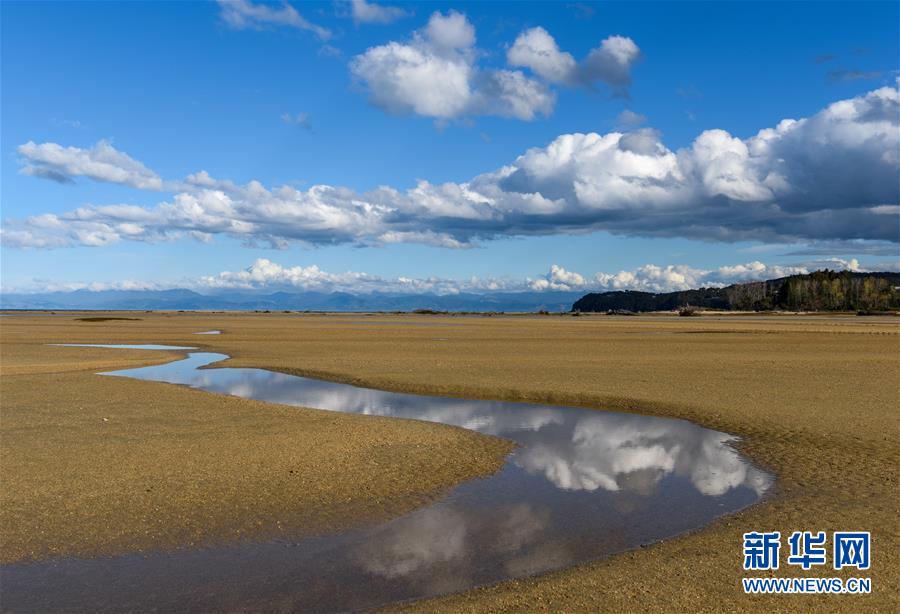 （國(guó)際）（2）新西蘭阿貝爾&middot;塔斯曼國(guó)家公園風(fēng)光