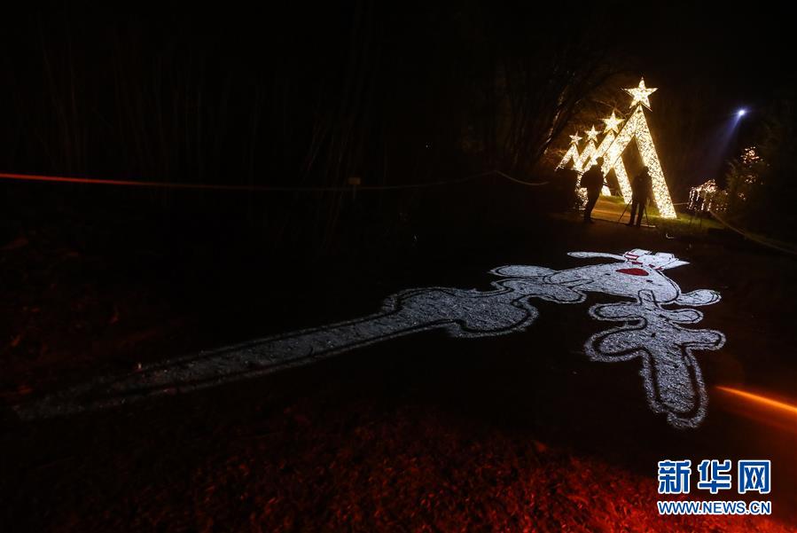 （國(guó)際）（2）&ldquo;柏林圣誕花園&rdquo;燈光秀開幕