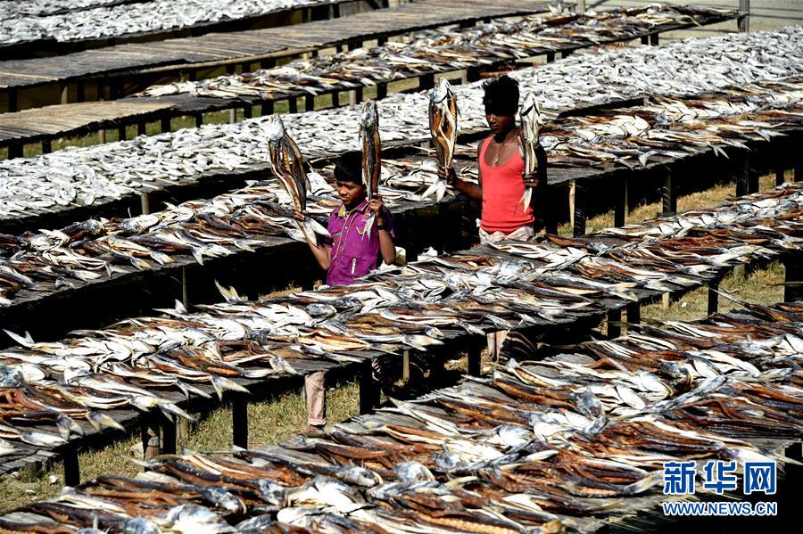 （國(guó)際&middot;一周看天下）曬魚(yú)