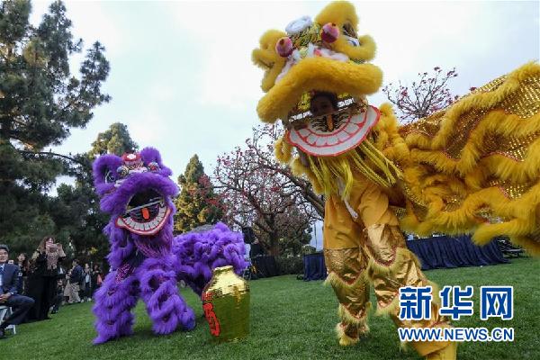 （國際&middot;圖文互動(dòng)）（1）通訊：瞧這一家子舞獅的美國人