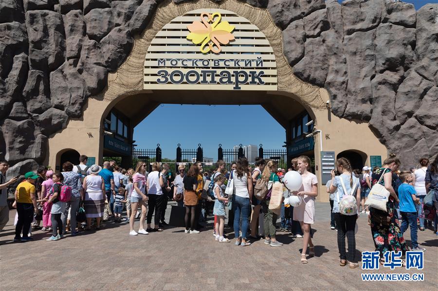 （習(xí)近平出訪(fǎng)配合稿&middot;圖文互動(dòng)）（1）通訊：&ldquo;友誼使者&rdquo;中國(guó)大熊貓入住莫斯科新家