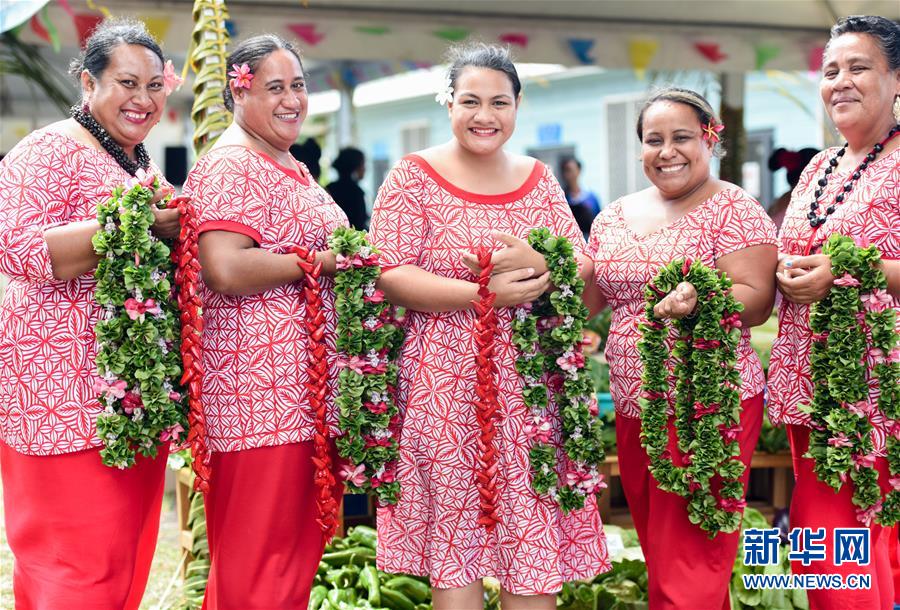 (國際·圖文互動)(2)“中國-太平洋島國旅游年”成果顯著