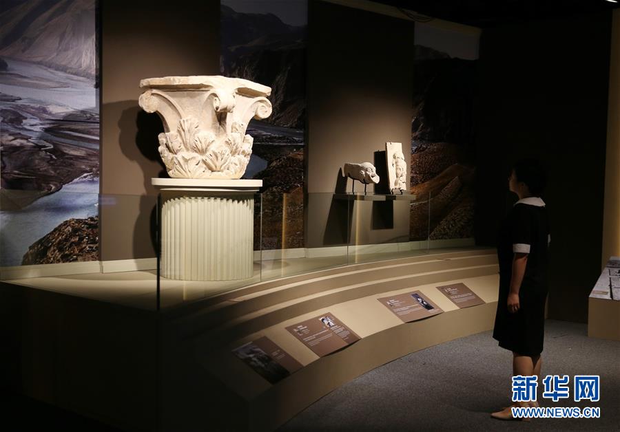 （港澳臺(tái)&middot;圖文互動(dòng)）（4）特寫(xiě)：&ldquo;流浪&rdquo;到香港的阿富汗國(guó)寶