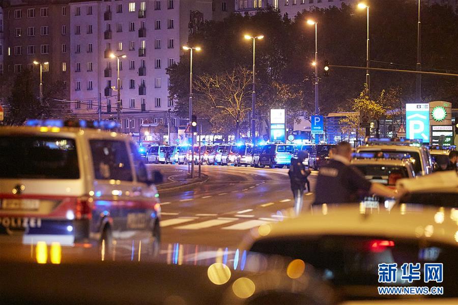 (國(guó)際)(3)維也納發(fā)生槍擊事件