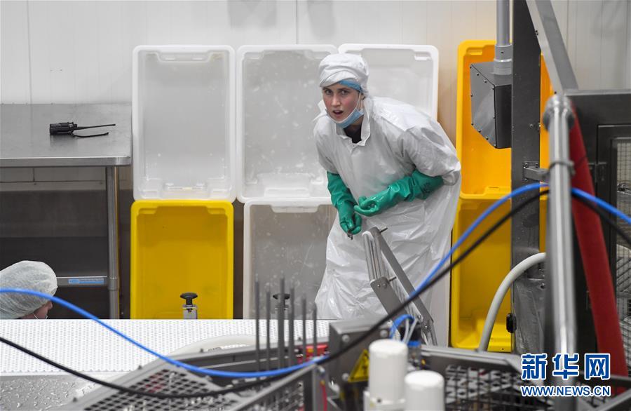 （第三屆進(jìn)博會&middot;圖文互動）（2）通訊：新西蘭的進(jìn)博會味道，甜