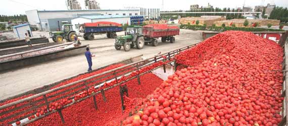 中國推動構建共贏、互信、發(fā)展的新絲綢之路