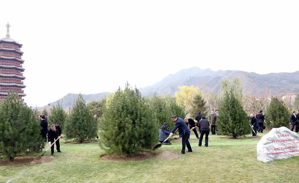 出席亞太經(jīng)合組織領(lǐng)導(dǎo)人非正式會(huì)議的各成員經(jīng)濟(jì)體領(lǐng)導(dǎo)人或代表共植亞太伙伴林