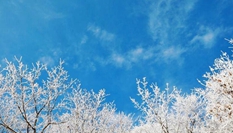 湖北?？蹈呱届F凇美如畫(huà)