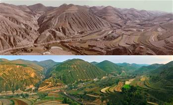 &ldquo;黃土地&rdquo;刷出&ldquo;新顏值&rdquo;：延安兩千萬畝&ldquo;林海&rdquo;誕生記