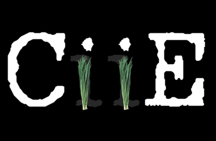 新華社創(chuàng)意動感視頻：考眼力！數(shù)數(shù)多少樣進口貨