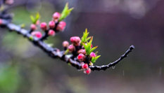 隨心而行，走走停停始終精彩。