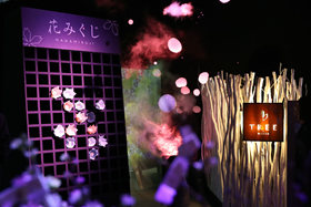 日本東京：寒冬時(shí)節(jié)賞&ldquo;繁花&rdquo;