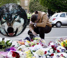 血案頻發(fā) "獨(dú)狼"緣何兇猛？