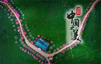 江山如畫，想把春的故事講給你聽